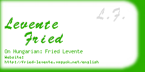 levente fried business card